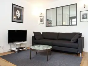 Charming 1 bedroom apartment with a sofa bed in the living r