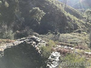 QUINTA MORZELO PEQUENO – PD0226