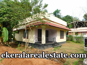 Kilimanoor house for sale