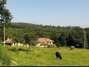 Farm in Omurtag-Bulgaria