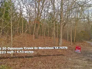 An Acre of Land for $99 Down - Murchison TX 75778 