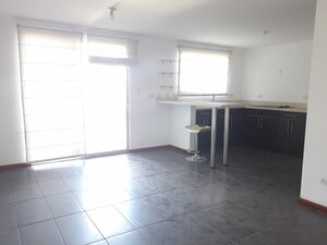 GREAT Location - For Rent - Apartment in Condo in Tower