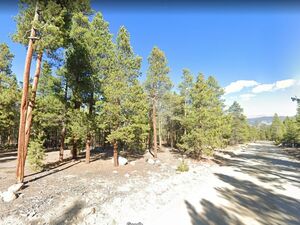 Lot 552, with Power, Twin Lakes, CO