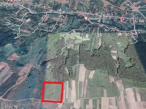 19,488 sqm Land for Sale Bacau Romania 