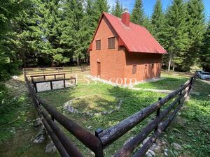 Good house in beautiful nature place in Zabljak