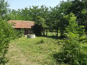 Partially renovated country house with annex, garage and vas