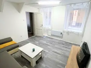 Young and livable small apartment FOR SALE!