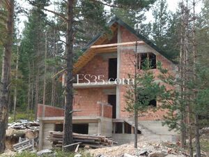 The house in 3 level surrounded by coniferous forest