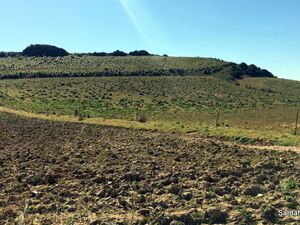 Farm land in Serdiana, Sardinia