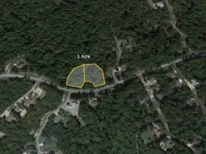 Bella Vista Living Near Lake Ann - Direct Sale by Owner