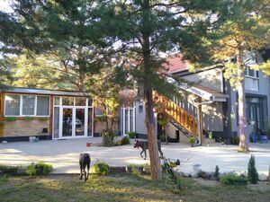 House for sale-Deliblatska Pescara