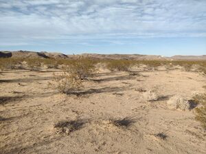 INSANELY GORGEOUS Joshua Tree Land: 2.23 Acres of Pure Parad