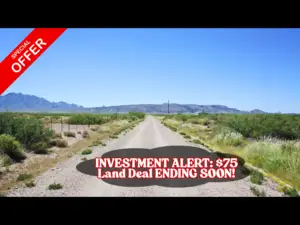 Investors are stunned by 1.08 acres at a $75/down