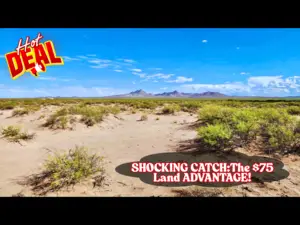 Hidden Catch in 1.06 Acres for JUST $75/down - Grab it Now