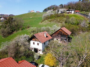 Property with potential in the countryside (Kozjanski Park) 