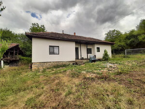 Ready for living country house with plot of land in village