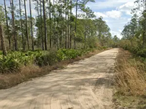 Hurry! 0.22 Acres in Florida for Just $129 - Limited Offer!