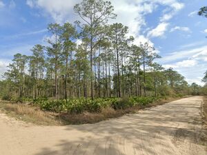 Florida's Hottest Deal of 2025! 0.22 Acres for Just $175