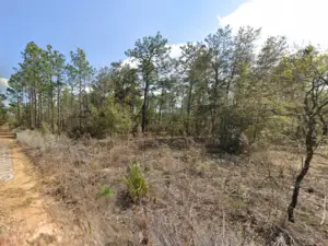 Smartest $125 You'll Ever Spend In FLORIDA Is Right Here