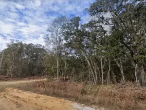 0.23 Acre Corner FLORIDA Land For Just $149 Down? NO WAY!