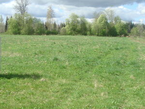 2 ha on the river bank  coastline is 300m