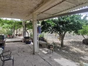 Land in Sicily - Triolo Alessandria