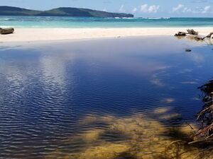 Tinyhouse with banana plantation for sale in the DomRep.  