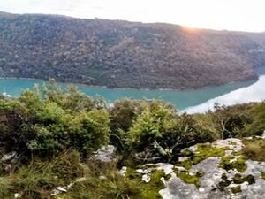 Sveti Lovreč, a 3ha forest with a view of the sea in Istria