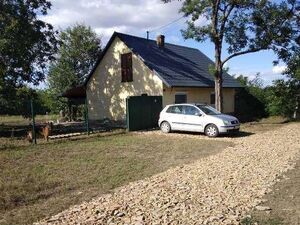 House on a dead yew tree in Becej