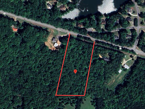 7.34 Acre Homesite with 470 ft Paved Frontage & Utilities