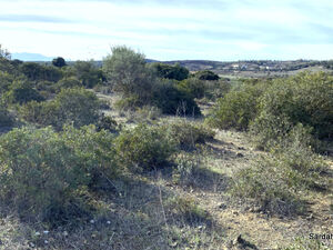 Agricultural land Maidana, Serdiana, Sardinia