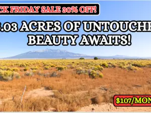 Black Friday: 30% OFF Own 5.03 Acres for $107/Mo!