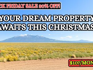 Black Friday: 30% OFF – Affordable Land for $107/Mo!