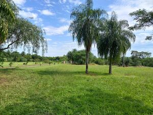 Discover your opportunity: fully titled plots in paraguay