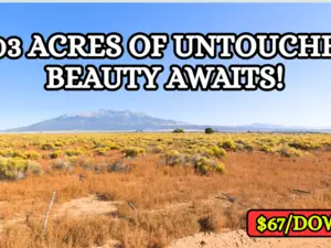 Own 5.03 Acres for $107/Mo!