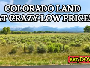 Buy 2.53 Acres in Costilla Cheap!