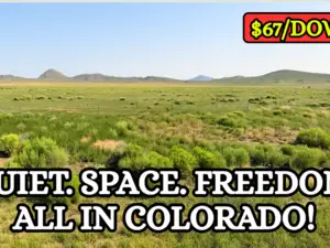 Colorado Awaits with Peace & Quiet!