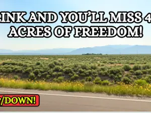 4.91 Acres in CO for $107/Mo!