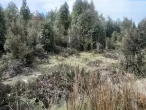 Land for Sale in Puerto Varas