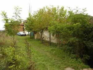 Old house with a lot of agricultural land within the limits 