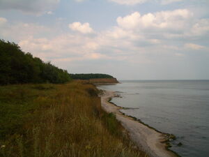 Velikovo 35 km to the sea 1500 sqm Pay Monthly