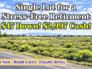 Own 0.90 Acre (Almost 1 Acre) Buildable Lot for $47/Down