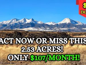Buy 2.53 Acres in Costilla Cheap!