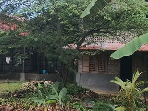 Farm lot in Sta. Filomena, Asuncion, Davao del Norte 