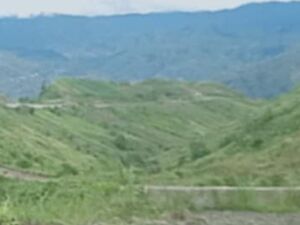 Very cheap farm lot in kitaokitao, bukidnon, Philippines 