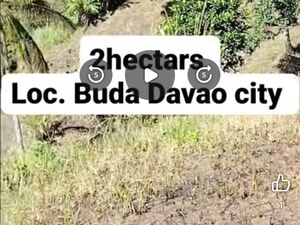 Farm lot in Davao city 