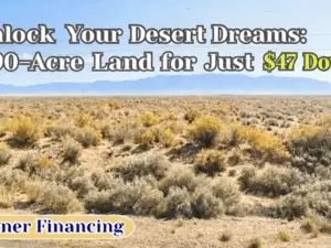 Buildable 0.90 Acre (Almost 1 Acre) Lot – $47 Down