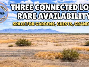 3 Adjacent Lots Totalling 1.50-Acres for Just $47/Down. Buy 