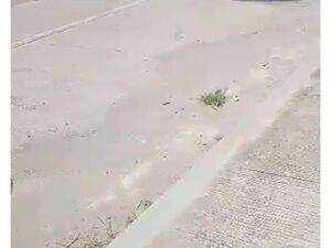 Farm lot in sikitan, kidapawan city 