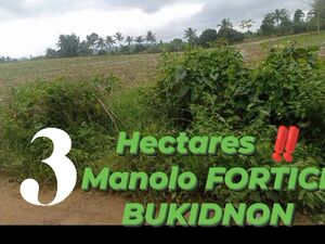 Farm lot in bukidnon 